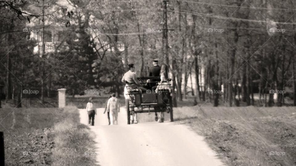 Ergela Kelebija Horses and Nature