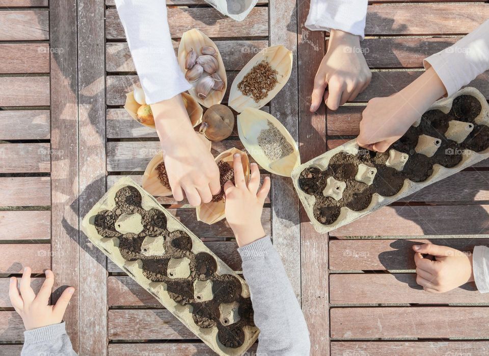 The hands of three caucasian girls sow seeds in an egg carton with black soil while sitting at a wooden table in the backyard of the house on a clear sunny spring day, flat lay close-up. Seed seed concept.