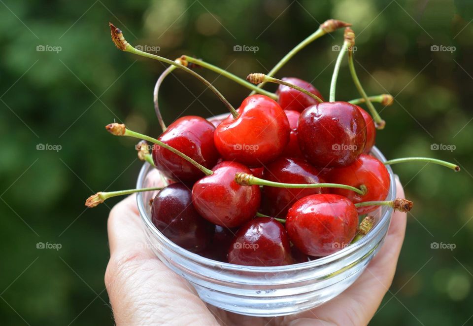red cherry tasty healthy food in the hand