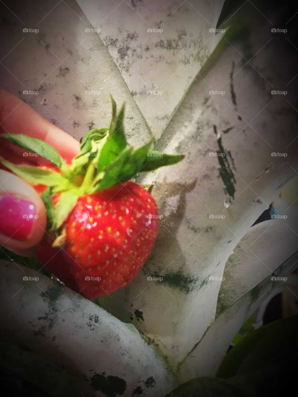Eat a delicious strawberry 