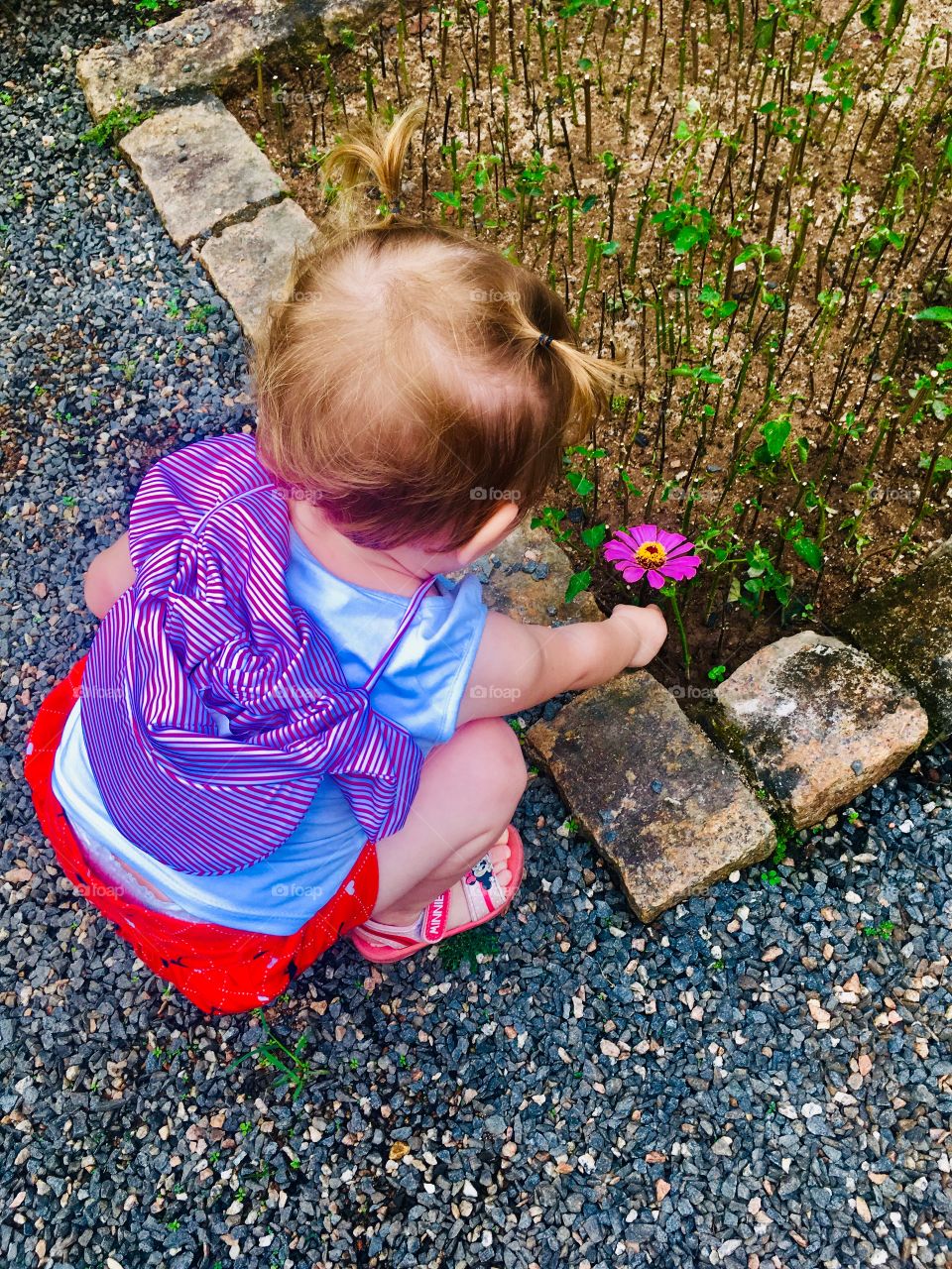 One of the most delicious things we like to do is pick flowers!  Playing in the garden is passionate. / Uma das coisas mais gostosas que gostamos de fazer é colher flores! Brincar no jardim é algo apaixonante.