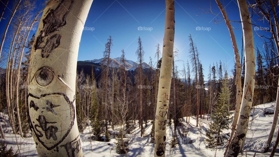 Winter at the Continental Divide