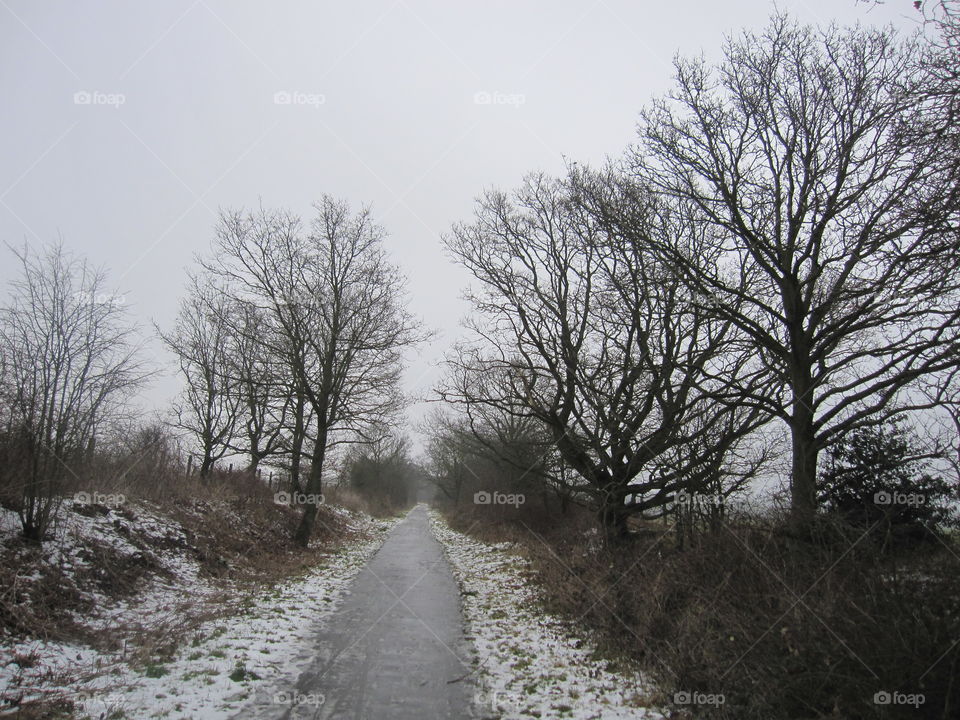 Dusting Of Snow