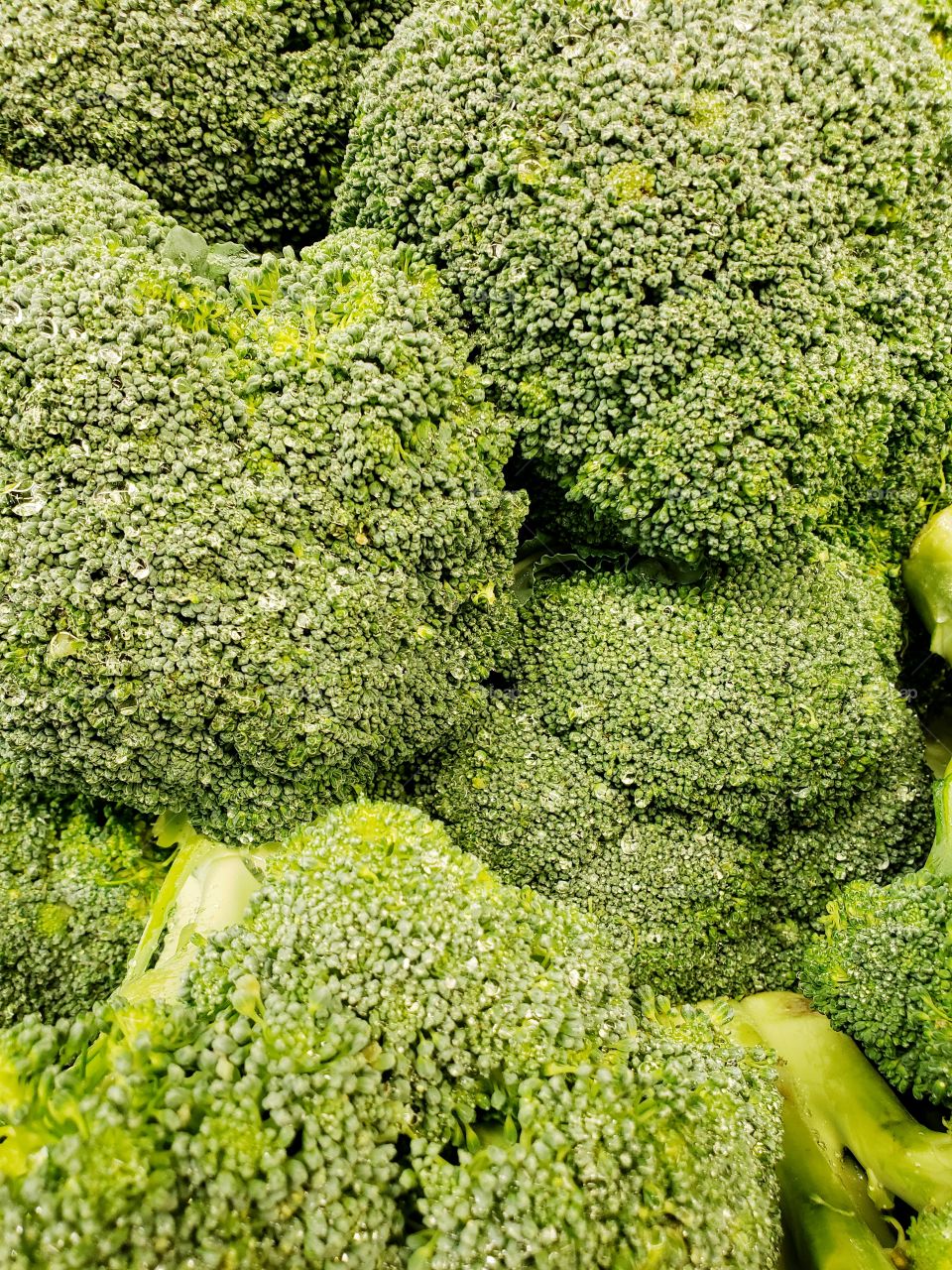 Closeup of details and texture of heads of green broccoli at the local market