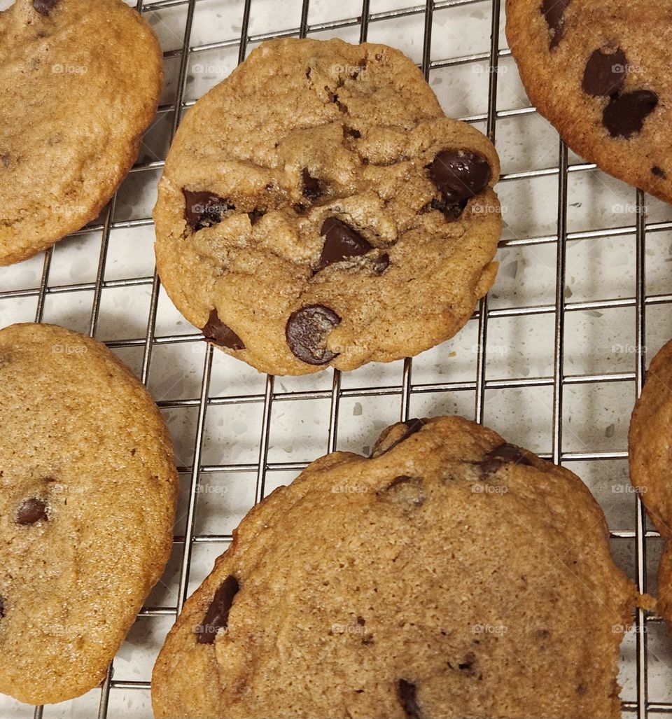 home baked golden brown chocolate chip cookies fresh out of the oven cooling on the rack