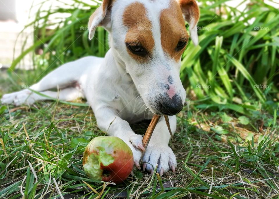 Toys We Can't Let Go