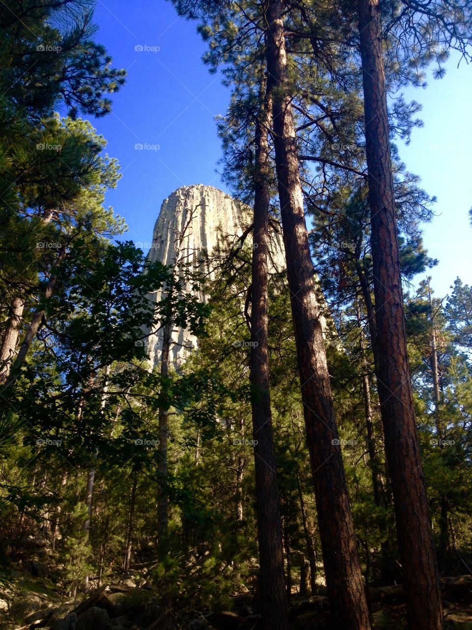 Native American sacred site. Devils tower national monument in Wyoming 