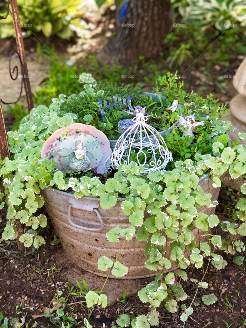 Fairy Garden