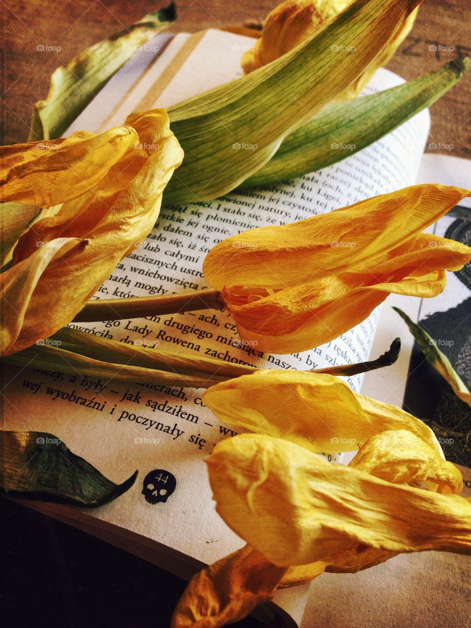 Tulips . Flowers on the book 