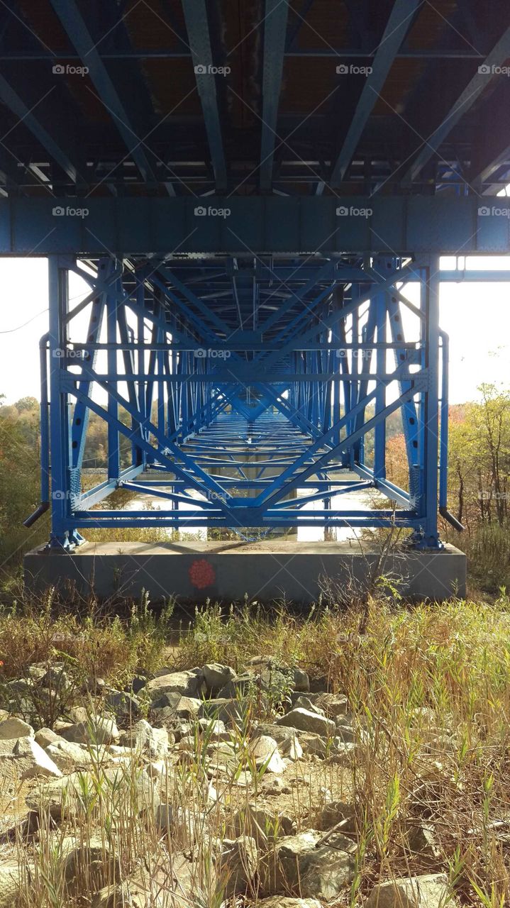 Blue beams hold up a bridge through a woodland setting.