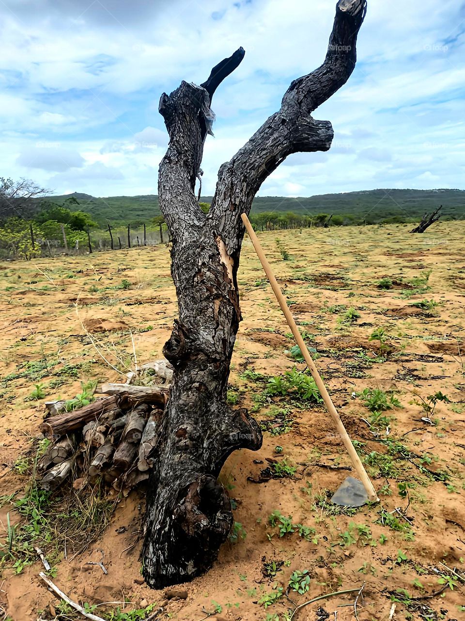 The work dignifies the man!!!!