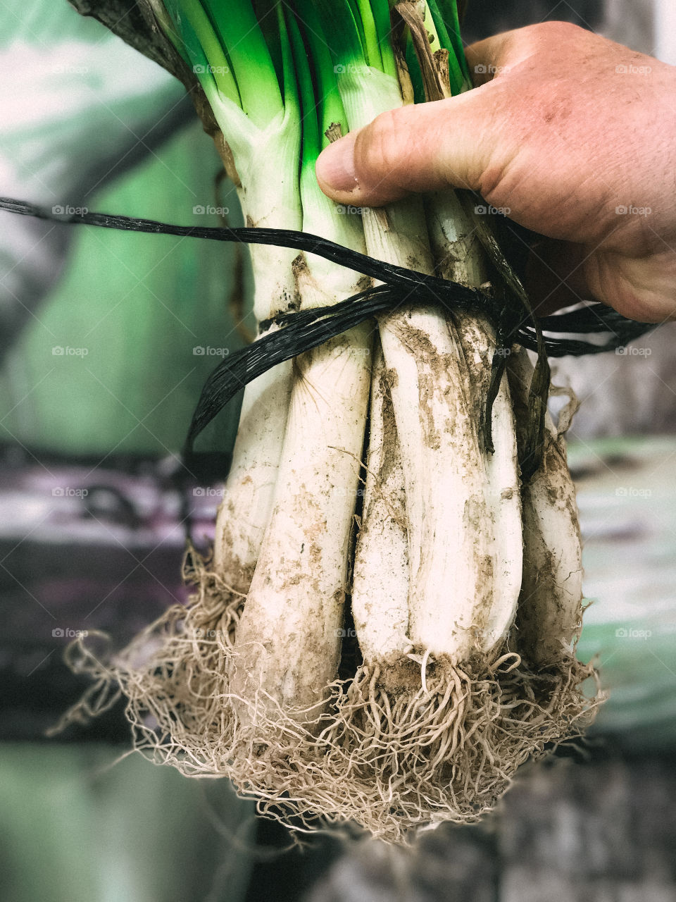 A person holding bunch of onions