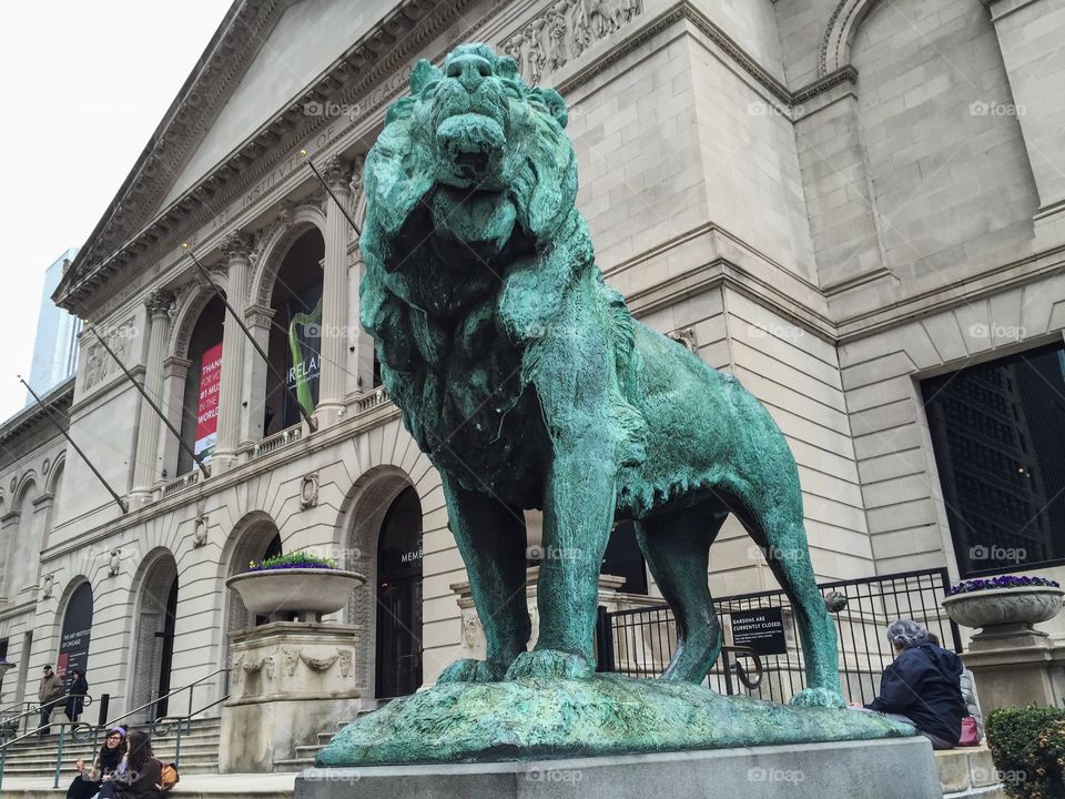 Lion statue in front of the Art Institute of Chicago 
