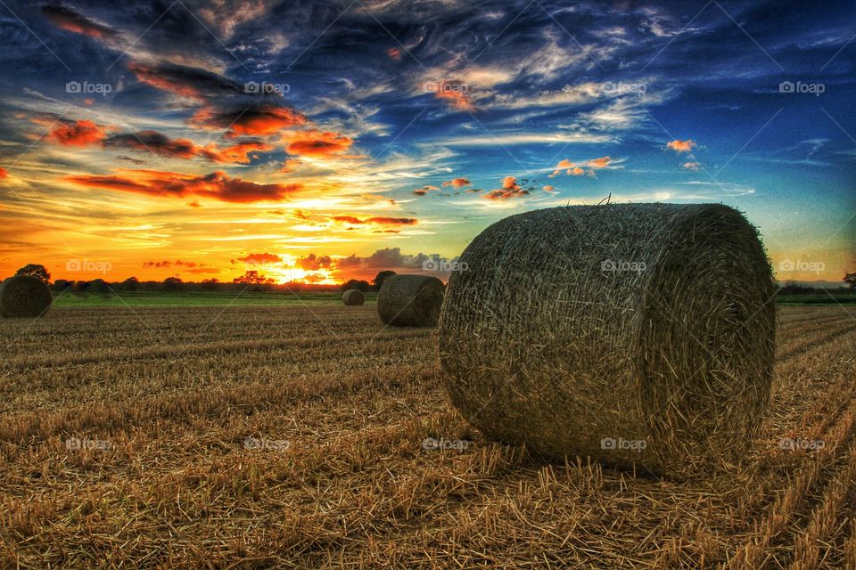 Harvest time at sunset