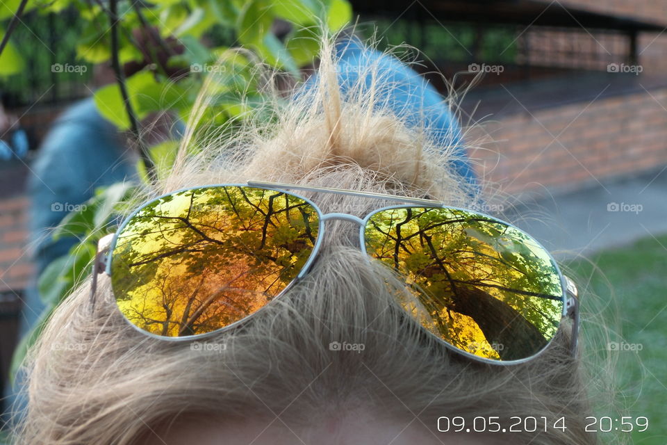 The "Reflection" cycle