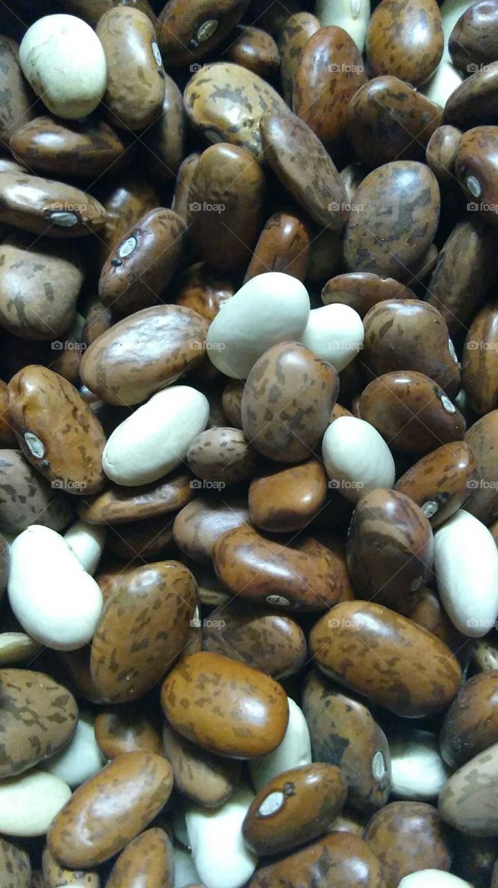 craft beans