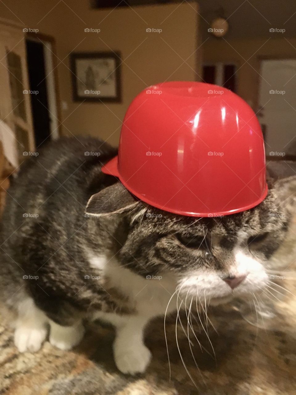 Put me in coach. I’m ready to play ⚾️