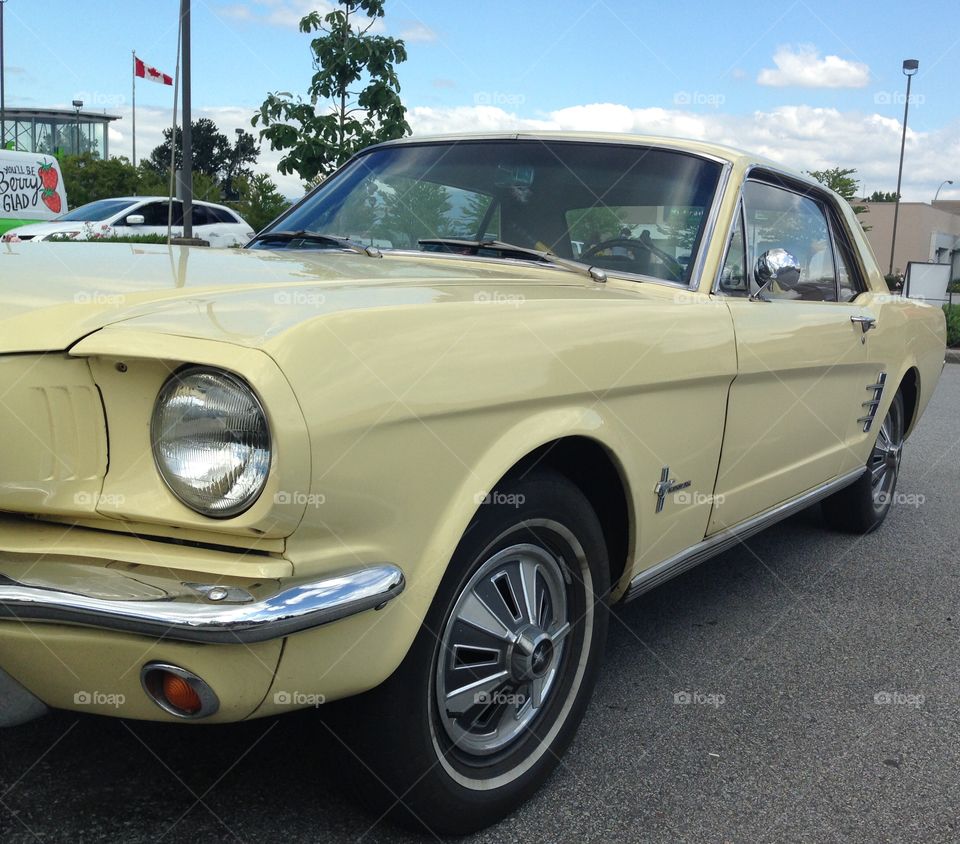 1966 Ford Mustang . 1966 Ford Mustang Canary a Yellow