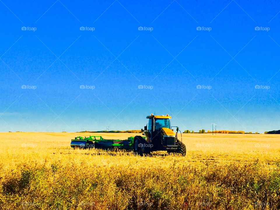 Farming Brandon Manitoba Canada 