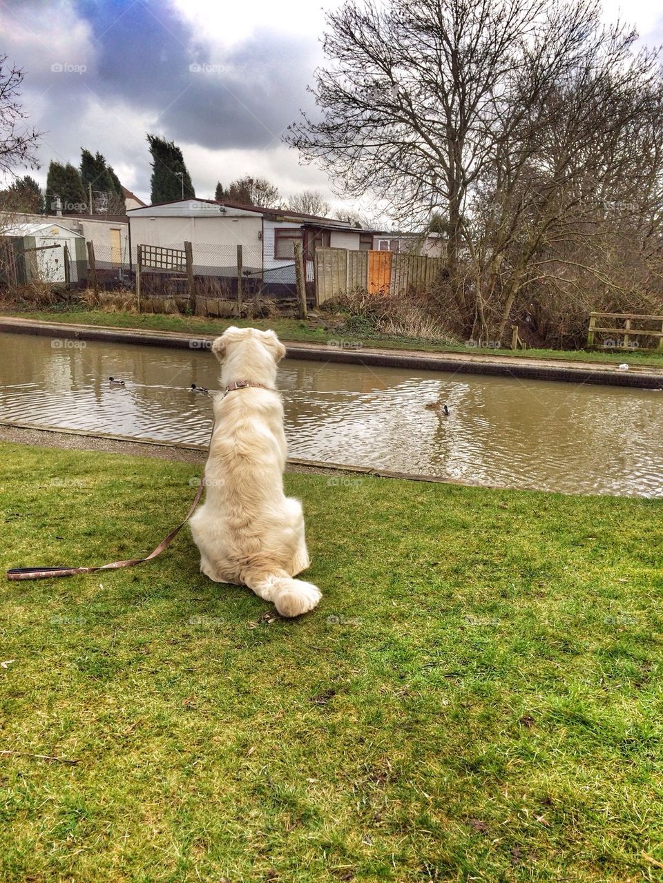 Zoe watching the ducks