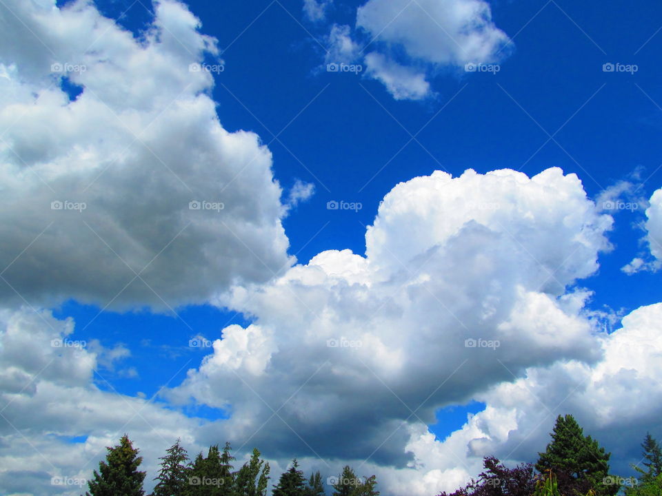 blue sky, white clouds