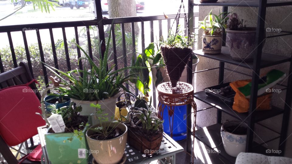 Someday I Will get around to making sense of this space