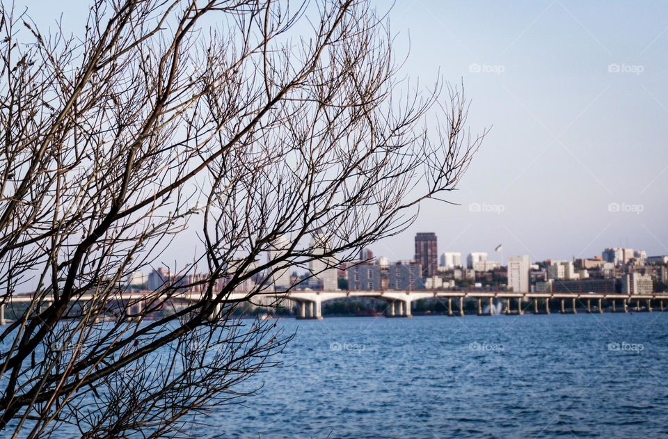 The city on the river 