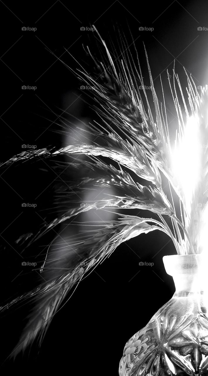 Spikelets of wheat in a vase.