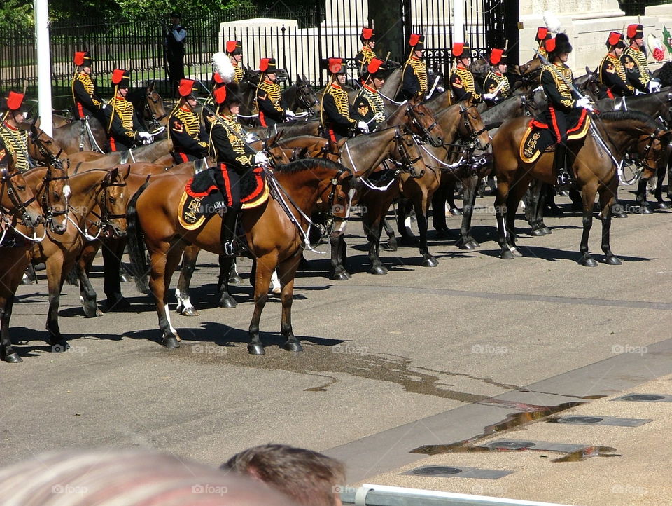 Pageant. Trooping the colour 