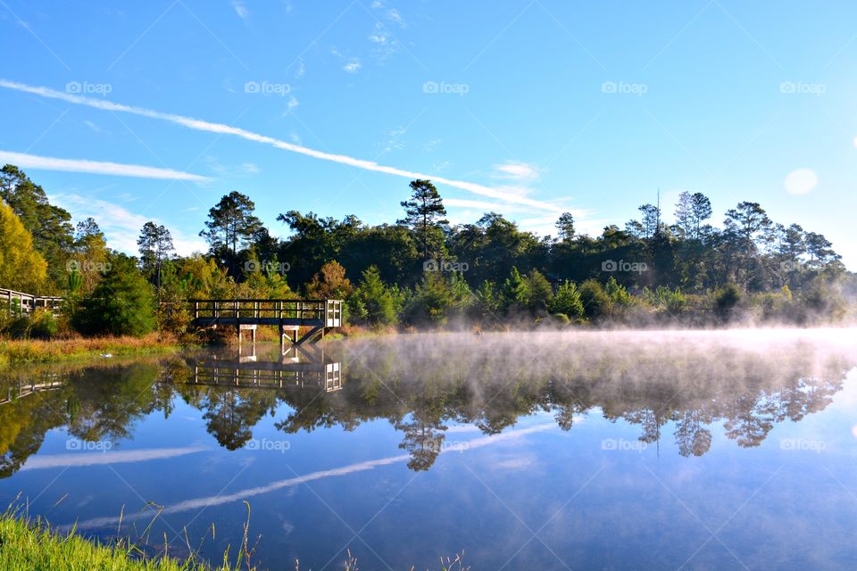 Seeing double - Foggy landscape reflection - patterns, texture, symmetry, asymmetry, depth of field, lines, curves, frames, contrast, color, viewpoint, depth, negative space, filled space, foreground, background, visual tension, shapes