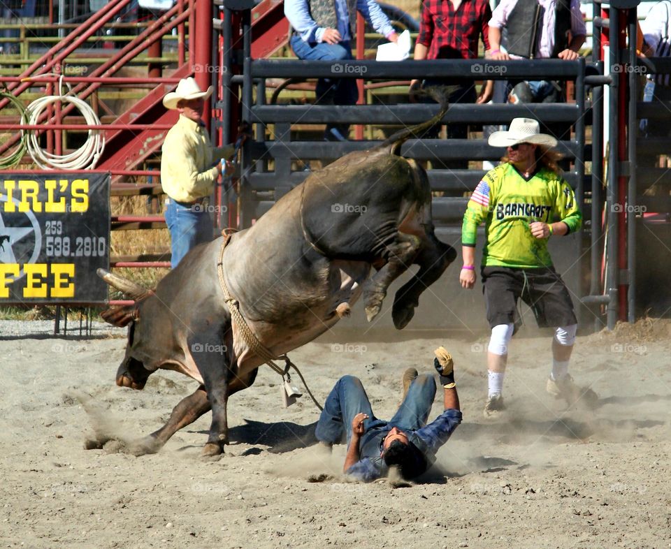 Bull Riding