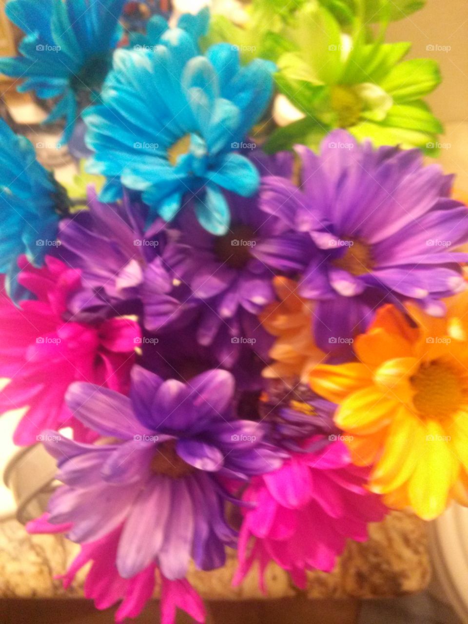 Bountiful Bouquet of Beauties 
My Youngest Son of Six Surprised
Me with one Day, telling me how 
Thankful he was , helping him 
when he got sick in a Nasty Way
An hour long massage he had done, plus everyone at work got
a nasty bug.   As i walked into his
room, there he was crouching in
sitting position , head tilted down
fan on his crown.  He looked like 
someone  who had gone through a washing machine, then tossed
around and round in the dryer 
to spin.  Spinning. I told him let
me help you sweetie, as you are
never to old to be helped by your mommy.  I did all i could possibly do, i even gave him some chicken soup.  A few days went by and he 
got better, at least i know this Mom still has it, when it comes to doing what us Mother' s do, except i never knitted any sweaters.  Surprised i was though to see sitting on our kitchen table
this lovely, brightly colored daisies .  I was even more surprised to hear who gave them. 
Mom, he said, i know a few guys who either don' t have a mom or 
for that fact ever, and i got to 
thinking how sad for those lonely fellas, who had no one to help them , let alone a mother.  For 
you Mom i am Gratefull.