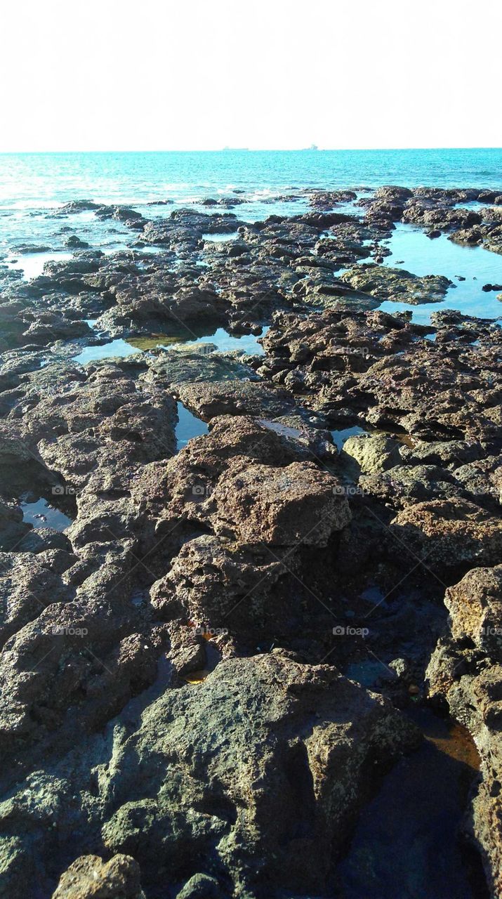 Reefs on the seashore