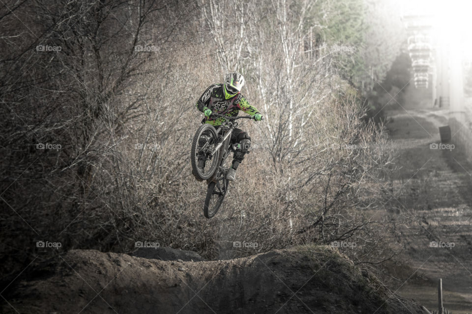 Bike, Biker, Road, Wheel, Tree