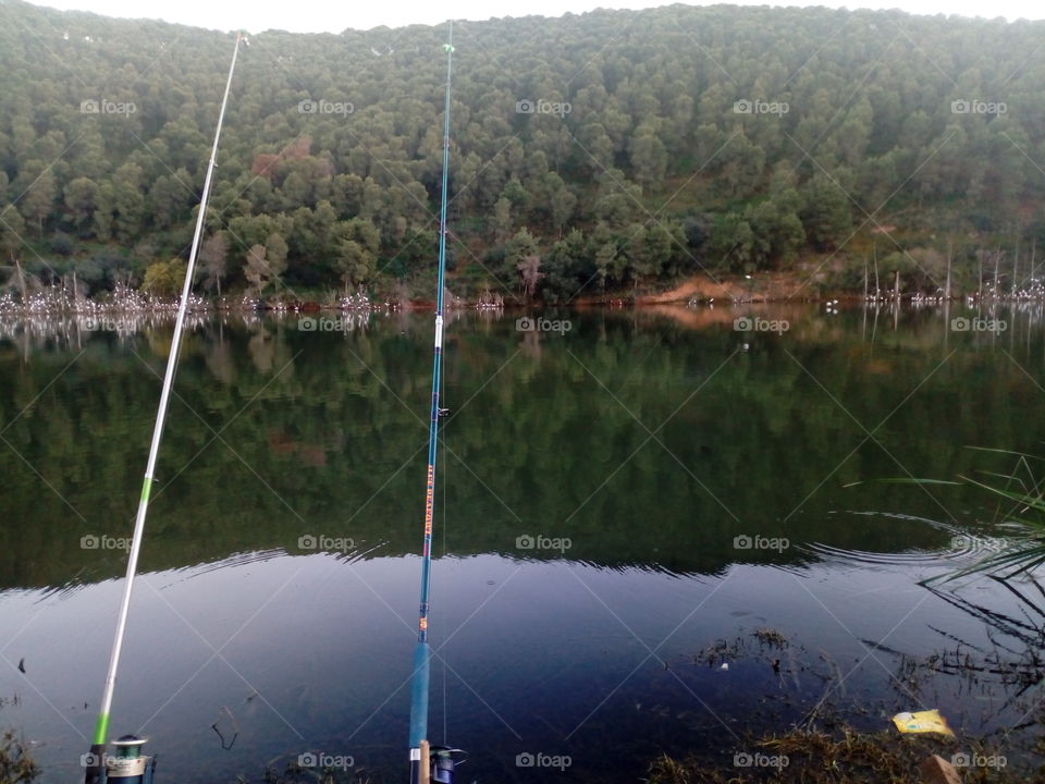 fishing in a lake