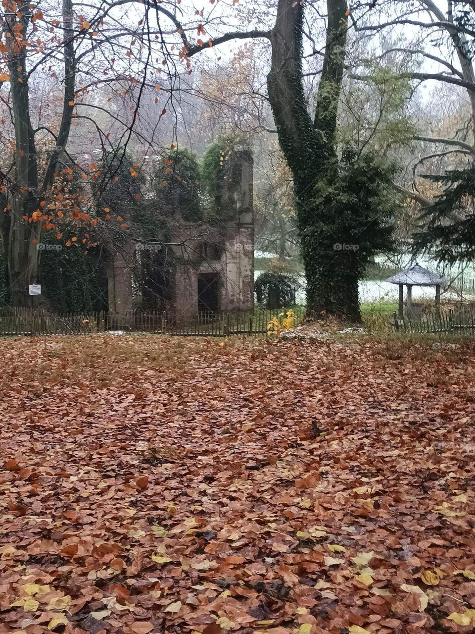 Parc de Mariemont , la Louvière