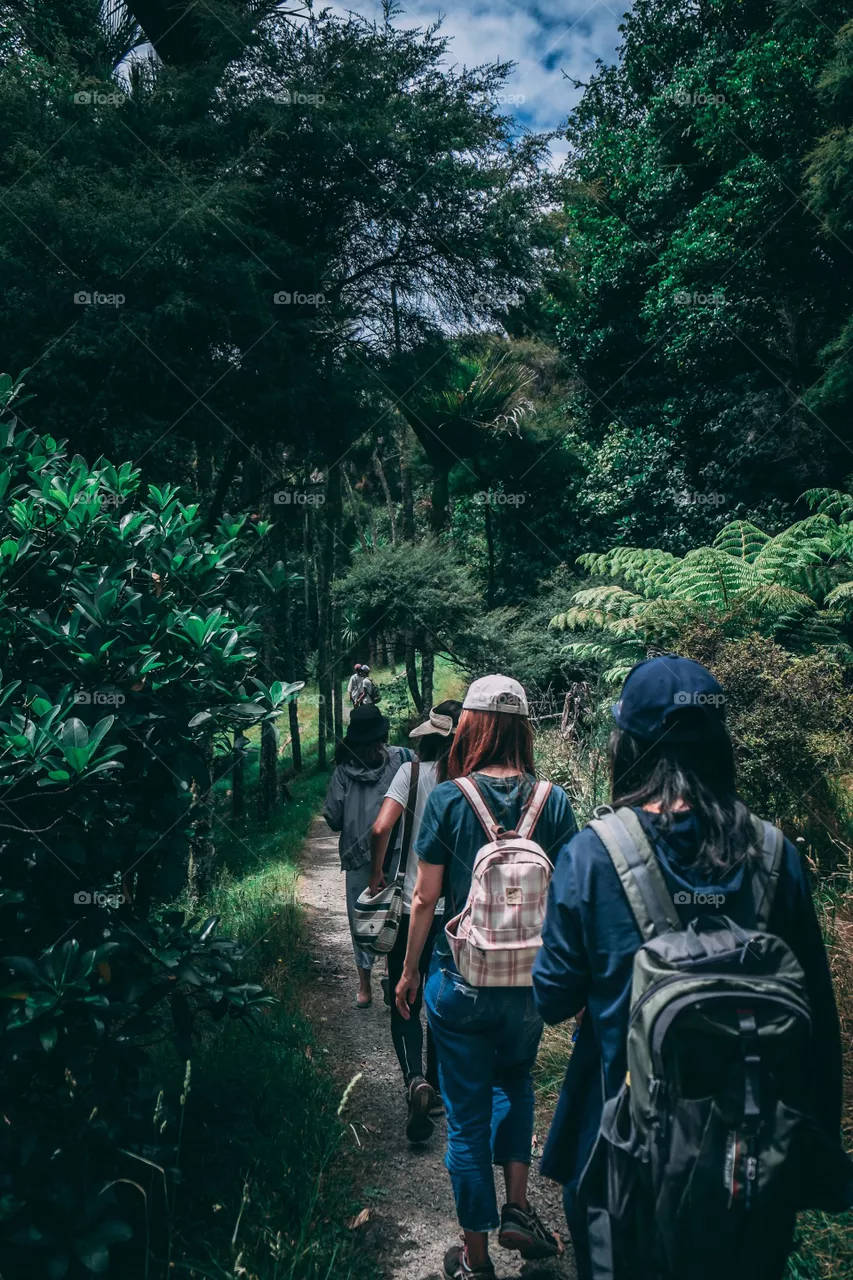 Forest trip
