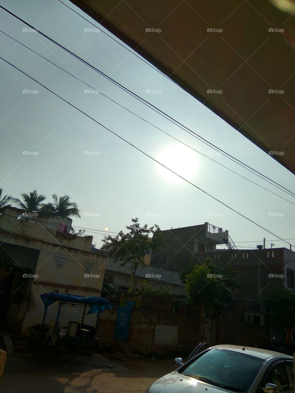 the lovely trees and lovely sun and plan clouds  under beautiful location