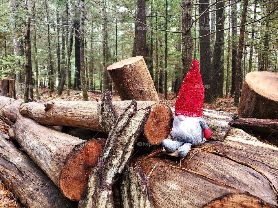 Magical forest gnome.