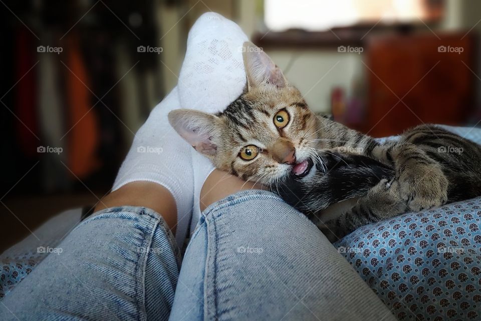 Turn off the TV and play with me😅