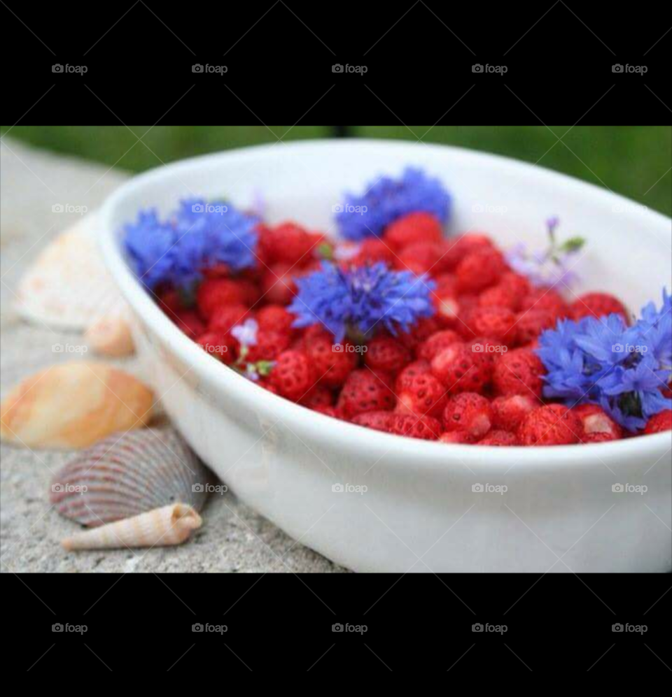 Yard Berries