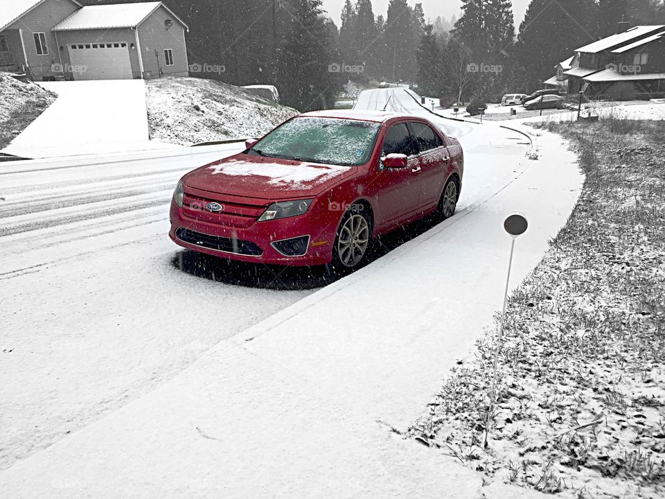 Snowed in, Standing Out. Ford Fusion.