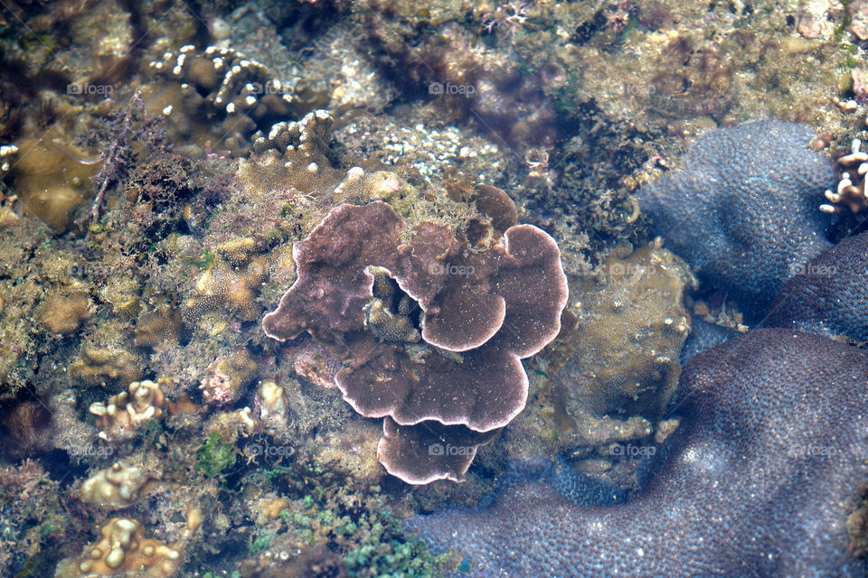 The rock on the beach in Anyer, Serang Baten, Indonesia.