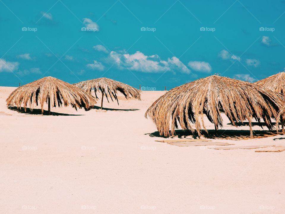 Scenic view of beach