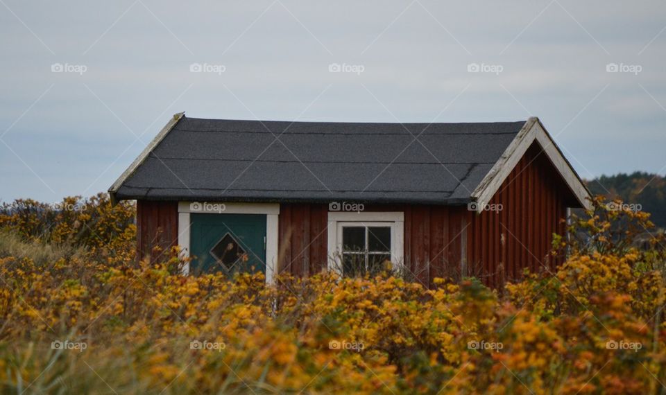 Red cabin