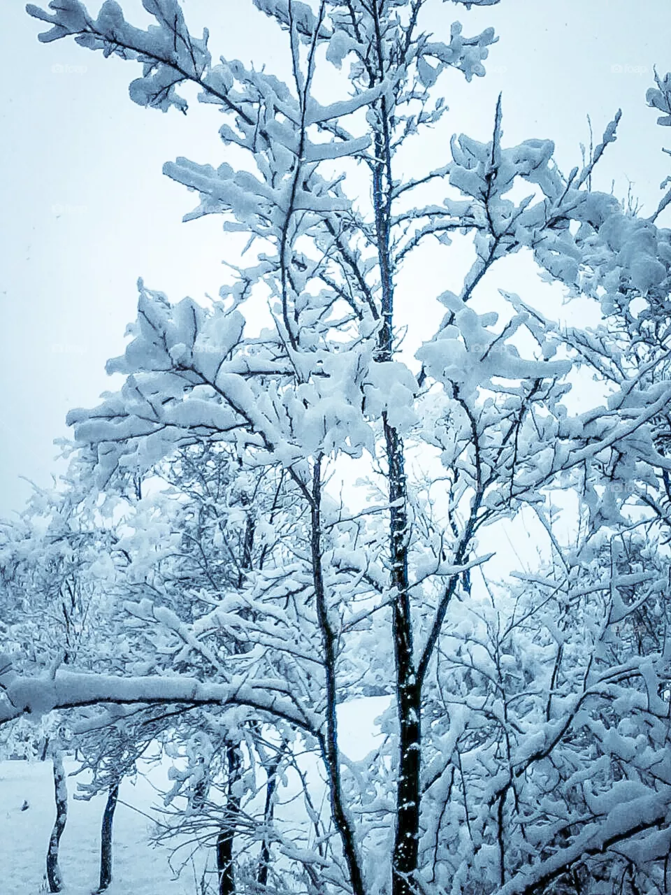 snow
