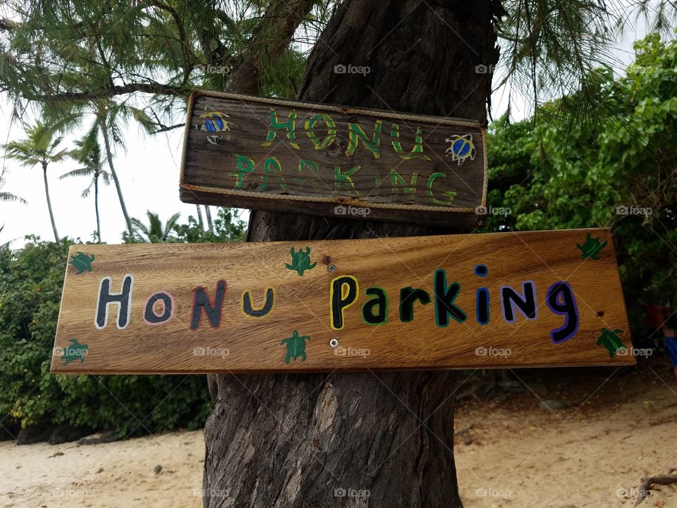 Honu parking at turtle beach