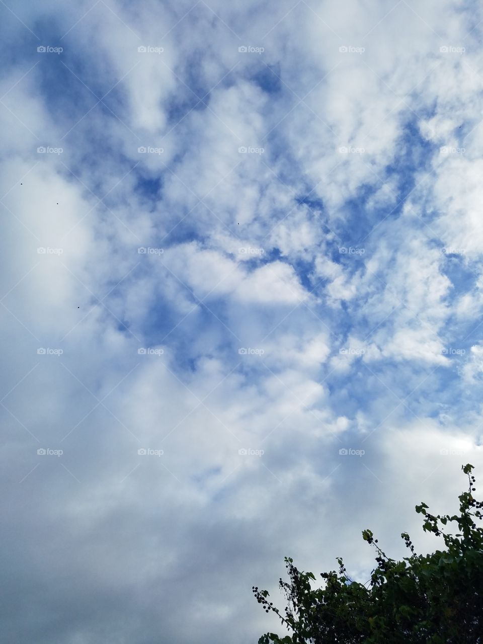 sky