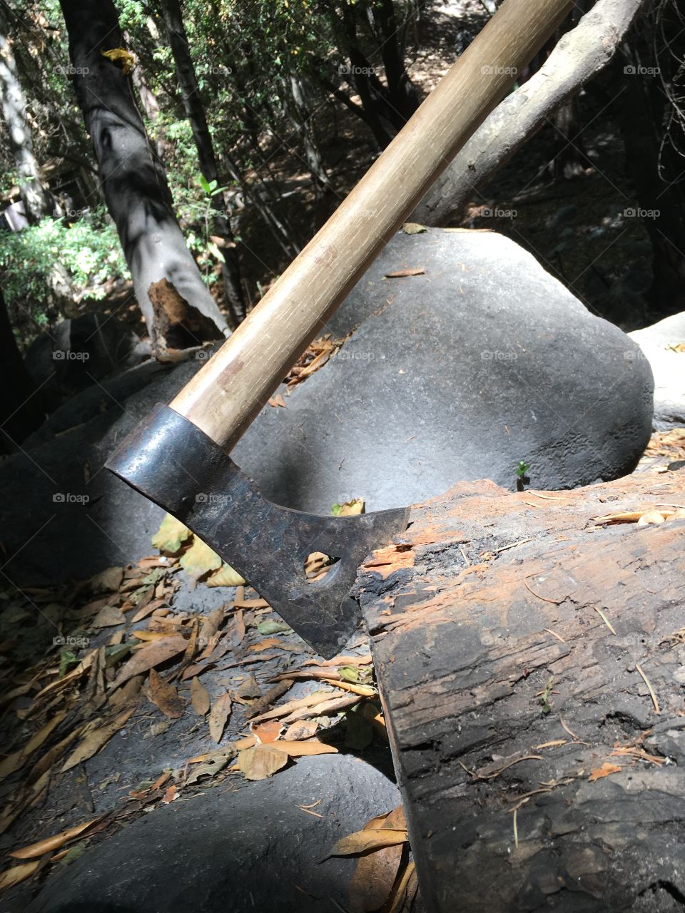 tomahawk in the wood