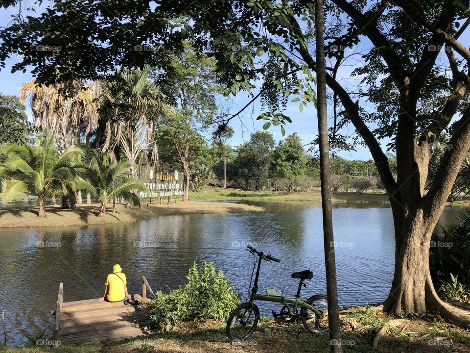 The stories of the Pukae Botanical Garden .